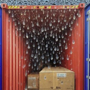 Clear water droplets hang from the ceiling of an open red shipping container, forming rows like icicles or teardrops—a classic lluvia de contenedores that provocan dampness on several brown cardboard boxes stacked inside.