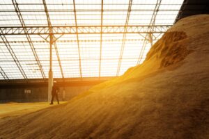 A person wearing a hard hat stands next to a large pile of yellowish animal feed inside a spacious warehouse, with sunlight streaming through the glass roof.