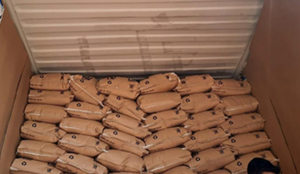 Stacks of sealed, brown packages fill the interior of a shipping container with its door partially open. The packages are arranged in neat rows, and a small part of a person’s head is visible in the lower right corner.