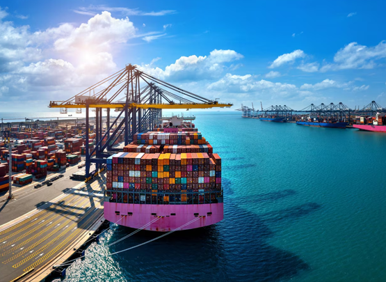 Discover a Wide Range of Cutting-Edge Shipping Solutions That Save You Time and Money