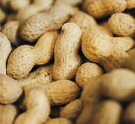 Peanuts