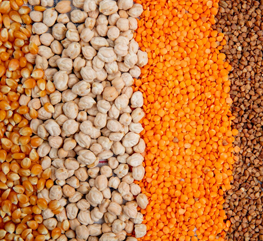 Legumes